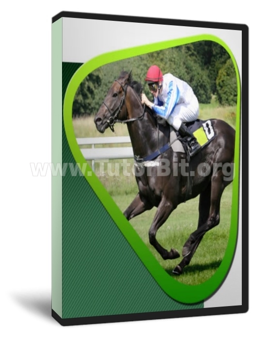 Скачки - Обучение для чайников. профит от 25% в неделю