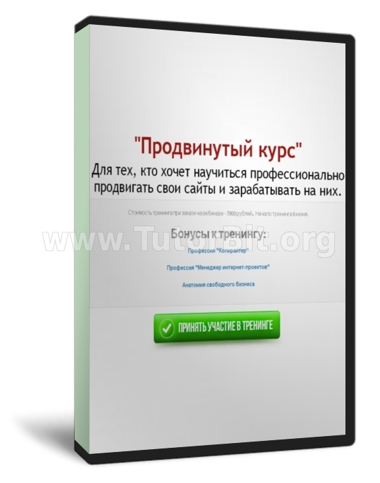 "Продвинутый курс" Для тех, кто хочет научиться профессионально продвигать свои сайты и зарабатывать на них