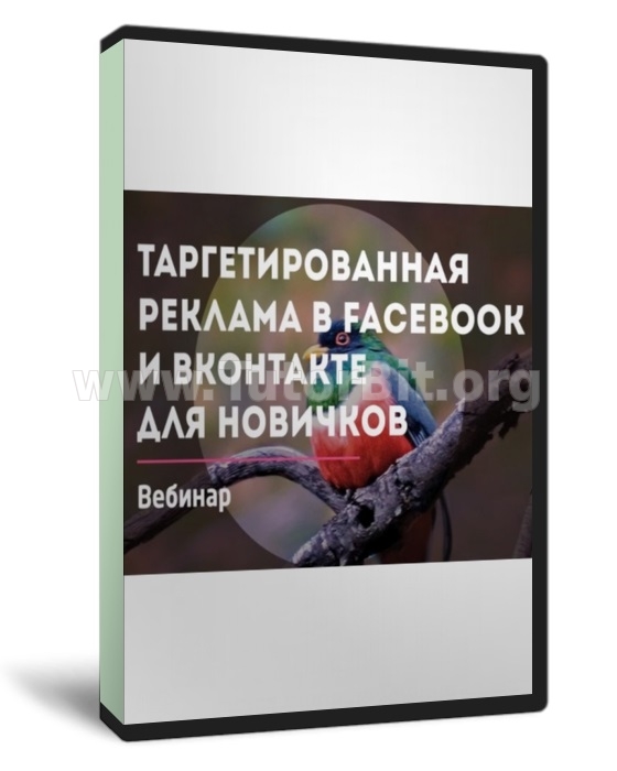 Скачать Настройка таргетированной рекламы Вконтакте и Facebook для новичков