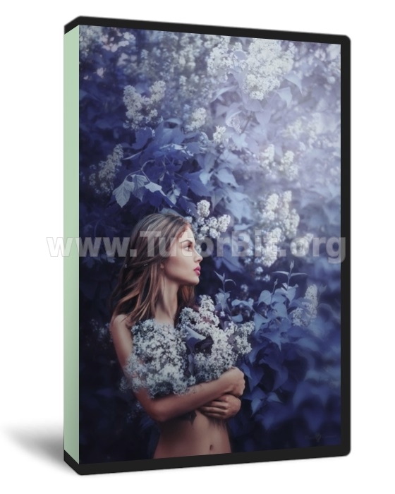 Сказочные фантазии