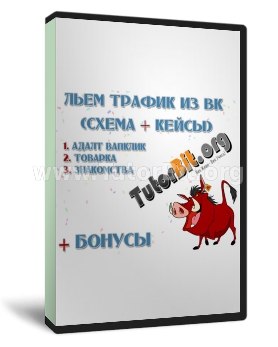 Скачать Льём трафик из ВК (Схема + Кейсы)