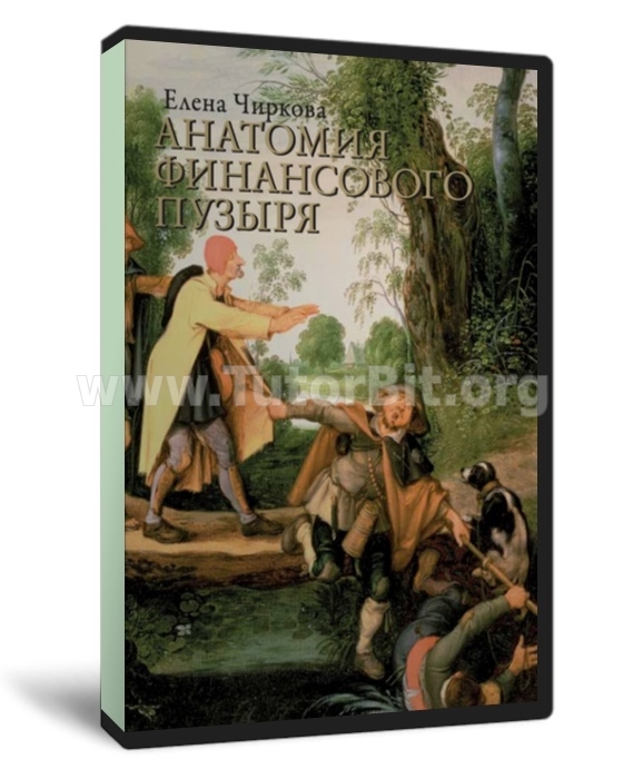 Скачать Анатомия финансового пузыря