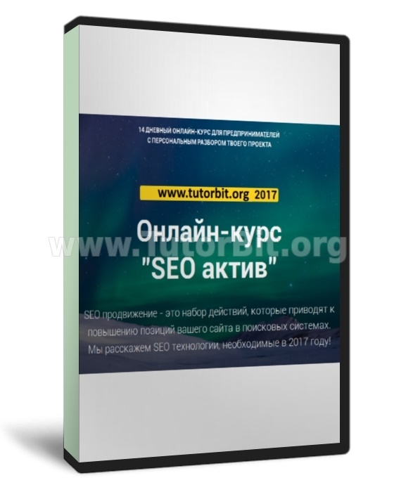 Скачать Анатомия СЕО. SEO актив