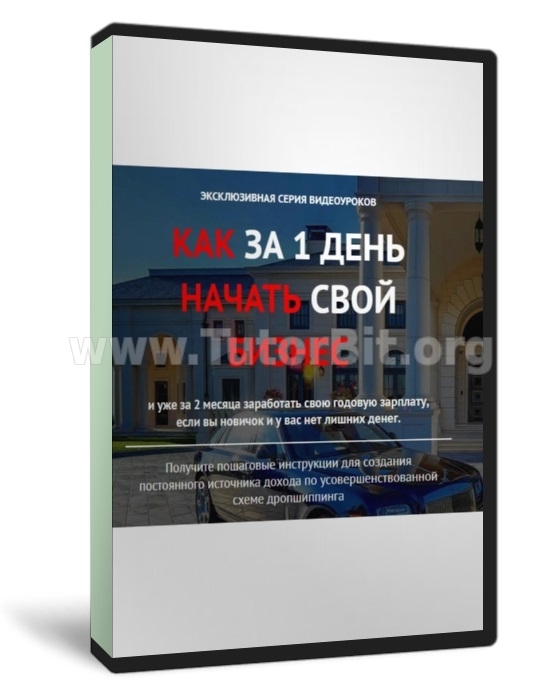 Скачать Совершенный дропшиппинг. Уникальная система заработка без вложений