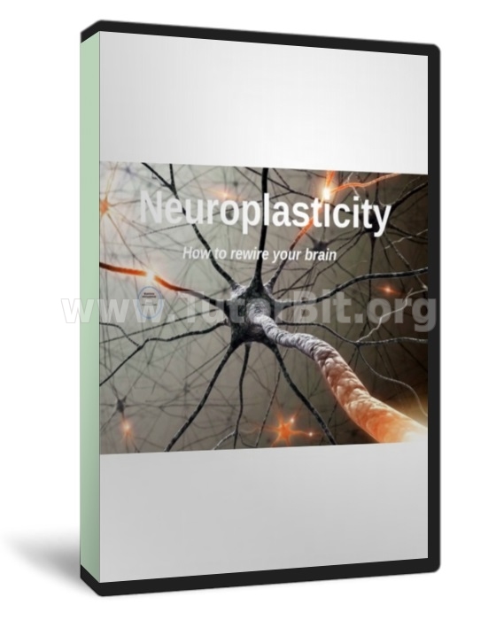 Нейропластичность. Как перемонтировать свой мозг