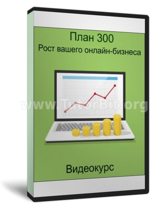 План 300 Рост вашего онлайн-бизнеса VIP