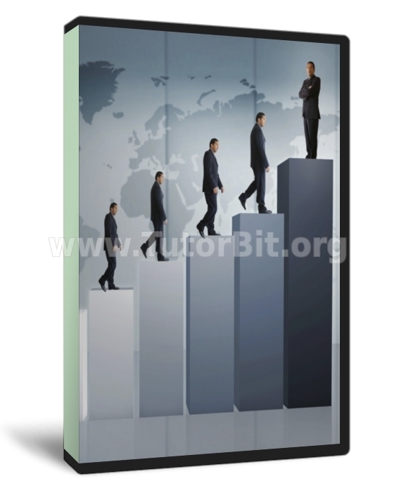 Шесть историй трансформации лидеров от эффективности к самореализации