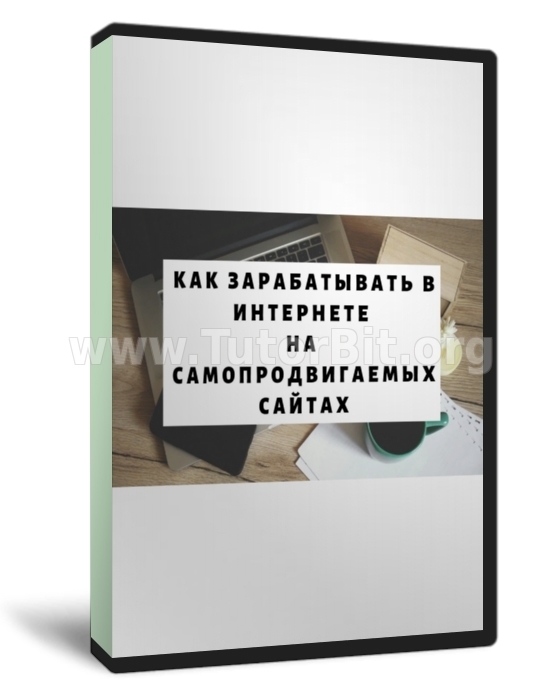 Как зарабатывать в интернете на самопродвигаемых сайтах