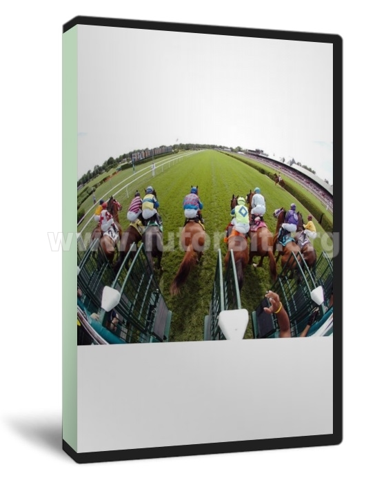 Мануал по заработку на скачках