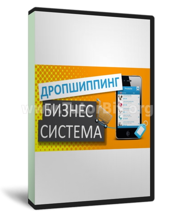 Скачать Заработок на дропшиппинге 95789 рублей в месяц