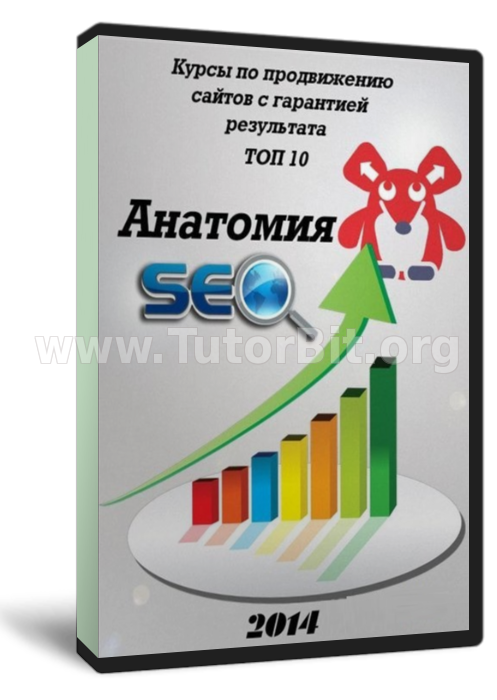 Скачать Анатомия SEO (2014, RUS)